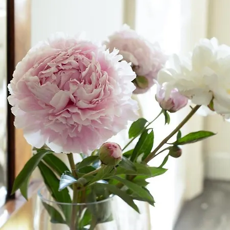 Vuojoen Kartano * Eurajoki