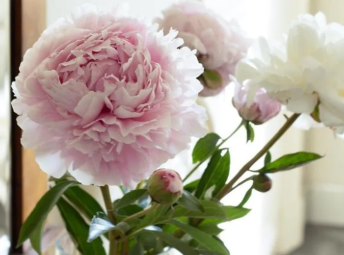 Vuojoen Kartano * Eurajoki